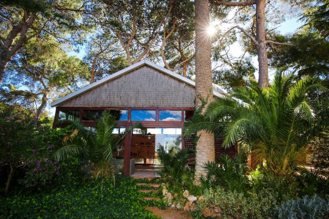 Вилла Colonial Planet Costa Dorada Виласека-де-Сольсина Экстерьер фото